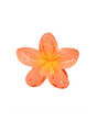 Peach Spritz