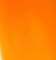 Neon Orange