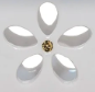 Blanc Fleur Eyelet