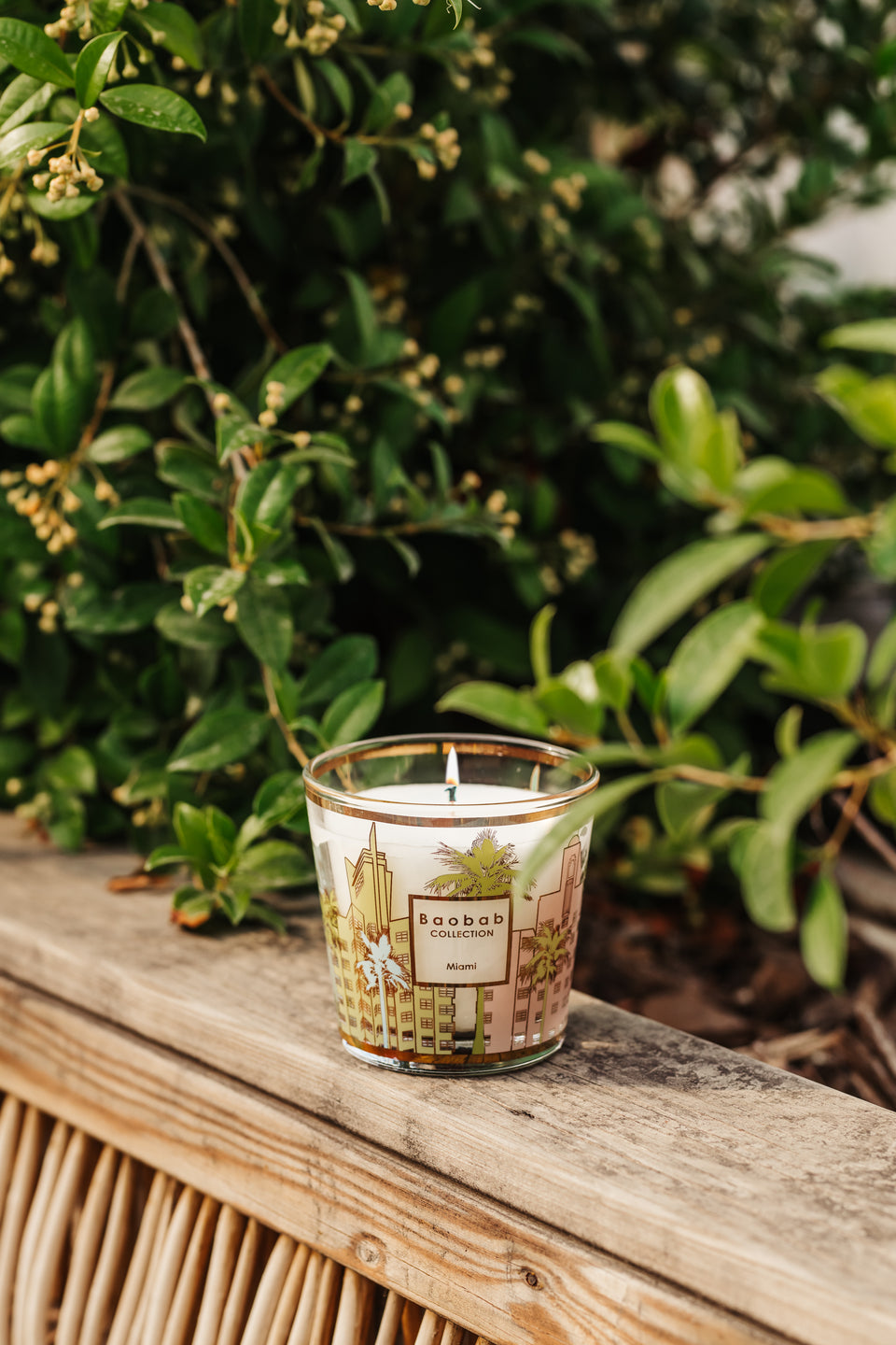 Baobab Candle my first baobab Miami, "my first baobab candle Max 08, baobab candles Miami, small candles baobab candles, miami candle, "my first baobab candle, fresh candles, small candles, Home decor, Max 08 Candles