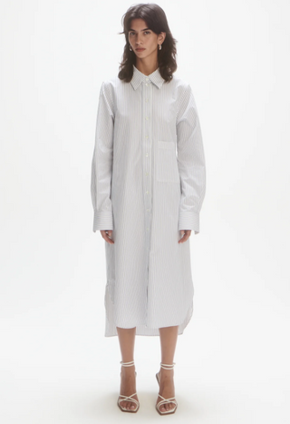 Les Coyotes De Paris Double Collar Shirt Dress