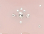 Blush Drop
