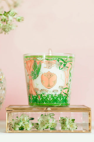 baobab tommorland limited edition candle, candle, baobab, tommorland