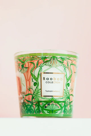 baobab tommorland limited edition candle, candle, baobab, tommorland