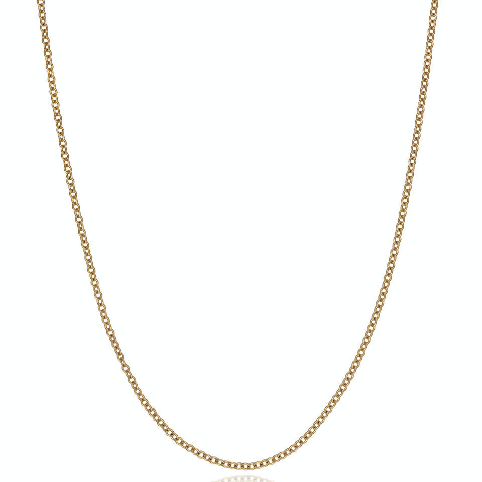 Maura Green 14k Yellow Gold Delicate Cable Chain